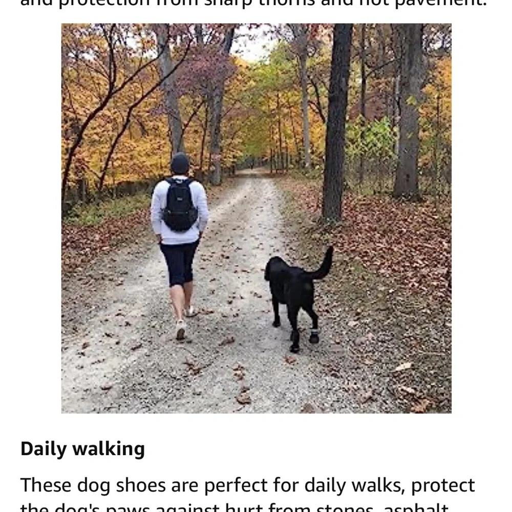 Dog shoes